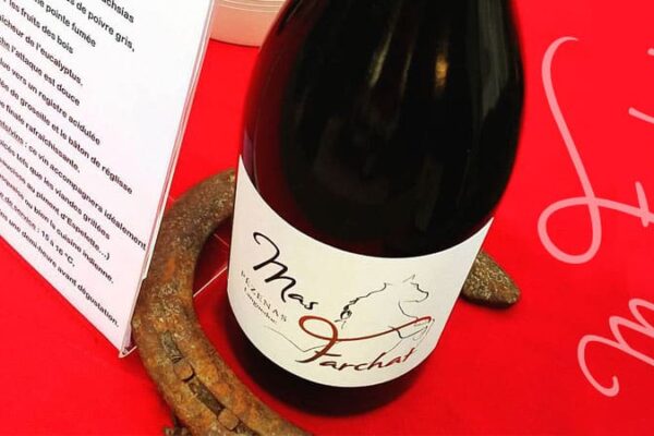Cuvée Rouky, vin et passion des chevaux